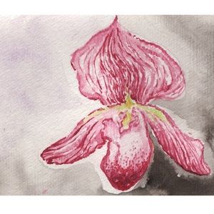 Orchid Watercolor (Lady Slipper)